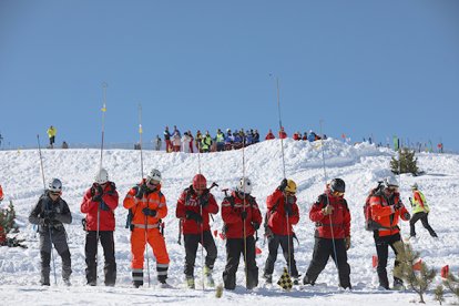 Allau de coordinació