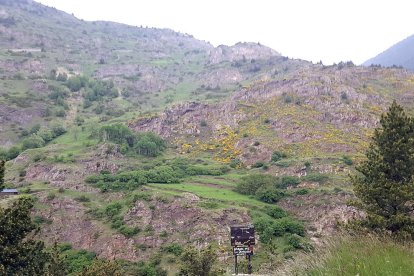 Diversitat esplèndida