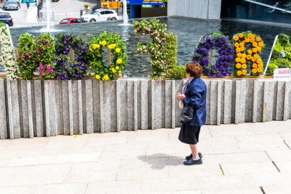 Andoflora arrenca amb el temps fent 
la guitza