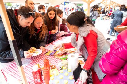 Marsol exigeix al Govern que adjudiqui ja el casino