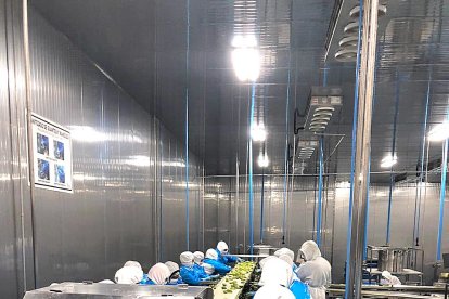Nice Tech obrirà una factoria d'alvocats amb una plantació de 200.000 hectàrees