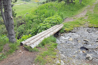 Un camí ple de flora