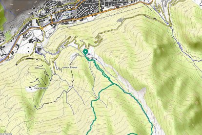 Entre frondoses pinedes