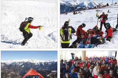 Allau de coordinació