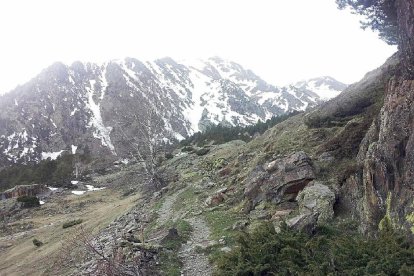 Un refugi meravellós