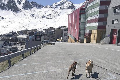 Contrabandistes obren la carretera del Pas tota una nit