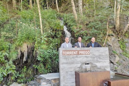 Millores al berenador de torrent pregó