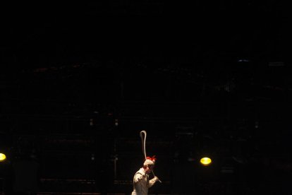 Set anys de Cirque