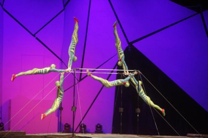 Set anys de Cirque