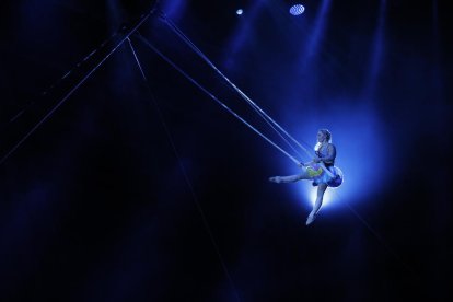 Set anys de Cirque