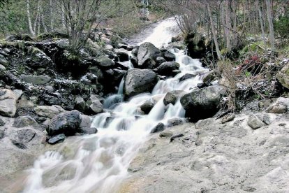 Jornada canillenca (II)