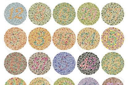 Daltonisme: viure amb uns altres colors