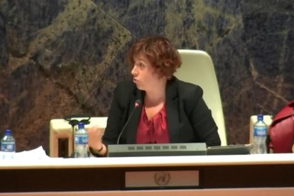 Mingorance afirma que la CASS paga els avortaments