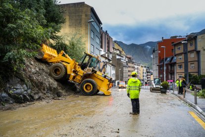 Esllavissada i arbres caiguts