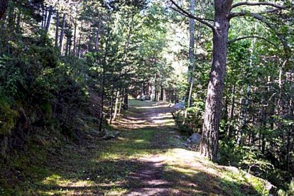 Vincle amb la natura