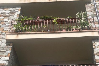 Homenatge al noi de 16 anys difunt amb samarretes als balcons