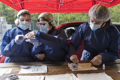 Voluntaris a la Massana