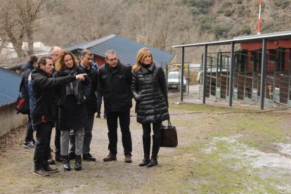 L'anàlisi descarta que els gossos morts fossin enverinats