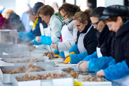 Escudelles a l'espera del fred