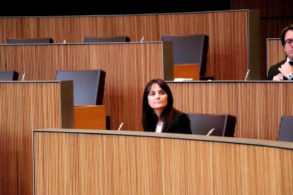 El Consell aprova per assentiment la llei de mesures econòmiques i la de l'estat d'alarma i emergència