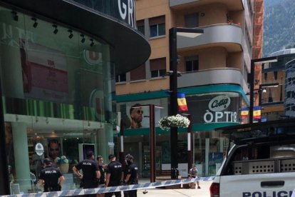 La policia busca una serp a l'avinguda Meritxell