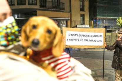 Protesta contra la taxa de gossos