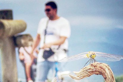 Guanyadors del 6è concurs 'Un estiu per emmarcar'