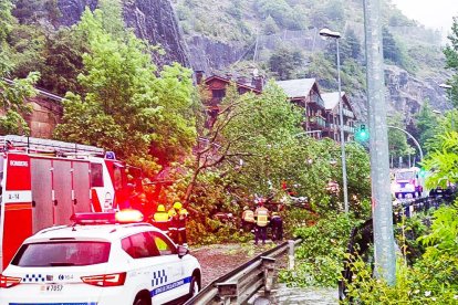 Un arbre caigut ha tallat el trànsit entre Ordino i La Massana