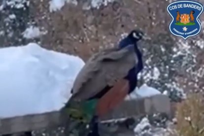 Fotograma del vídeo publicat pels banders