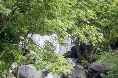 Capesa es planteja encarir l'aigua per frenar abusos