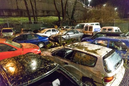 La caiguda d'un arbre causa danys a diversos cotxes