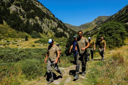 Cansades de la calor