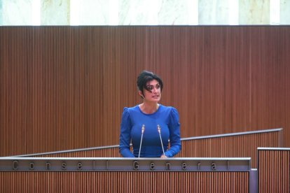 Carine Montaner al Consell General