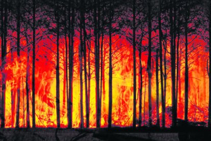 Aquest fenomen incrementa el risc d'incendi forestal