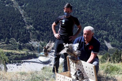 Instant en què les perdius entren en contacte amb el medi natural.