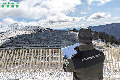 Els agents rurals van desplaçar-se al planell de la Tosa per fer l'estudi cartogràfic.