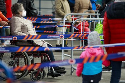 L''stop lab' de la plaça de braus va continuar ahir a un ritme frenètic, després del miler de proves de dimecres.