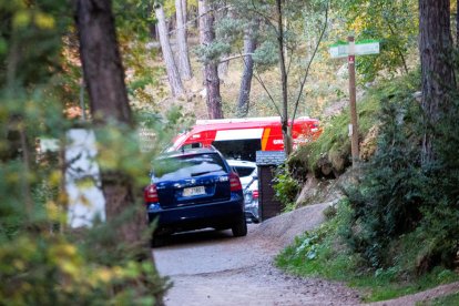 El vehicle del grup caní, de la policia i de la batlle.