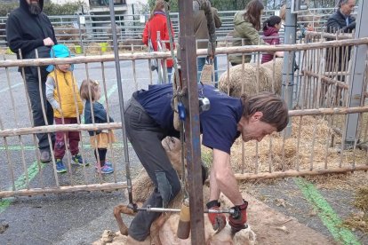 Fira del Bestiar d'Ordino