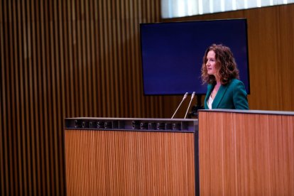 La ministra de Medi Ambient, Sílvia Calvó, al Consell General.