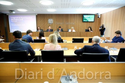 El cap de Govern ha comparegut avui a la comissió d'Exterior del Consell General