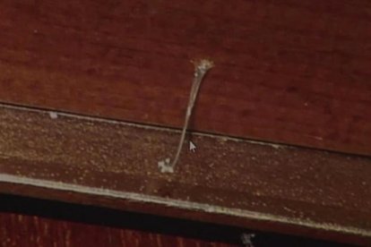 Fil de silicona en una porta.