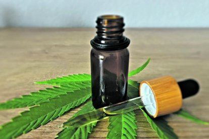 A Andorra hi ha un buit legal pel que fa al cultiu i consum de cànnabis per a usos terapèutics