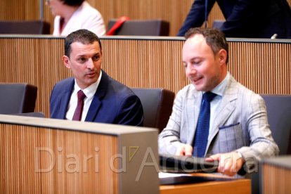Gallardo i Espot en la sessió d'avui al Consell General