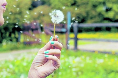 Aquest any la pol·linosi està sent molt més intensa