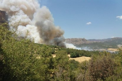 L'incendi forestal afecta una superfície aproximada d'unes 60 hectàrees