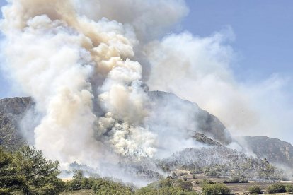 La major part afectada va ser la Serra d'Aubenç i Roc de Gogul.
