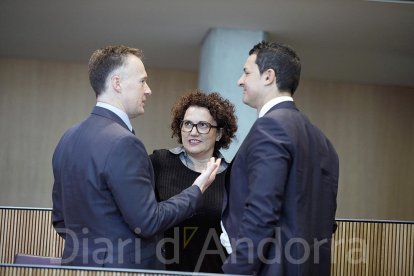 Costa, Pallarés i Gallardo al Consell General la legislatura passada.