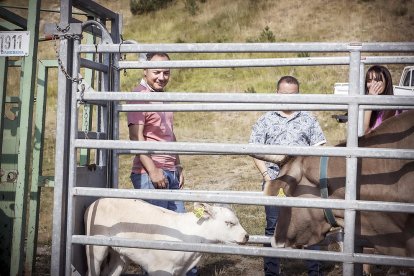 El cap de Govern, Xavier Espot, al sanejament de la cabana bovina de Canillo.
