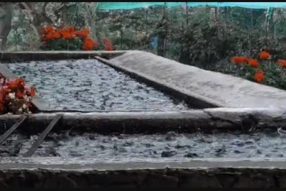 Pluja a Sispony